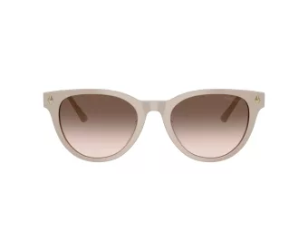 Jimmy Choo Solbriller JC 5043D 50333B