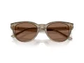 Jimmy Choo Solbriller JC 5043D 505173