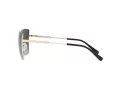 Michael Kors Bastia Solbriller MK 1108 1014/8G