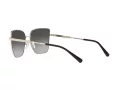 Michael Kors Bastia Solbriller MK 1108 1014/8G