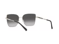Michael Kors Bastia Solbriller MK 1108 1014/8G