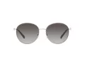 Michael Kors Alpine Solbriller MK 1119 1014/8G