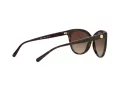 Michael Kors Jan Solbriller MK 2045 3006/13