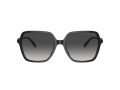 Michael Kors Jasper Solbriller MK 2196U 30058G