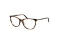 Signature Briller ML 1701 304