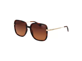 Max & Co Solbriller MO 0083 52F