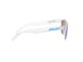 Oakley Frogskins Xs Solbriller OJ 9006 15