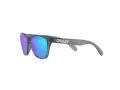 Oakley Frogskins Xxs Solbriller OJ 9009 02