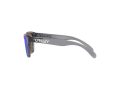 Oakley Frogskins Xxs Solbriller OJ 9009 02