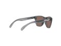 Oakley Frogskins Xxs Solbriller OJ 9009 02