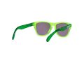 Oakley Frogskins Xxs Solbriller OJ 9009 05