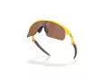 Oakley Resistor Solbriller OJ 9010 28