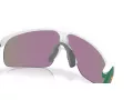 Oakley Resistor Solbriller OJ 9010 33