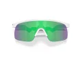 Oakley Resistor Solbriller OJ 9010 33