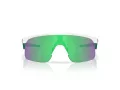 Oakley Resistor Solbriller OJ 9010 33
