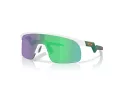 Oakley Resistor Solbriller OJ 9010 33