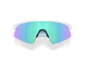 Oakley Resistor Sweep Solbriller OJ 9015 01