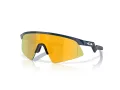 Oakley Resistor Sweep Solbriller OJ 9015 05