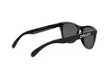 Oakley Frogskins Solbriller OO 9013 C4