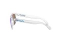 Oakley Frogskins Solbriller OO 9013 D0