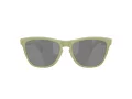 Oakley Frogskins Solbriller OO 9013 M2