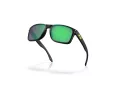 Oakley Holbrook Solbriller OO 9102 AI