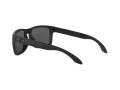 Oakley Holbrook Solbriller 9102 D6