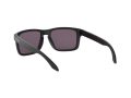 Oakley Holbrook Solbriller OO 9102 E8