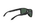 Oakley Holbrook Solbriller 9102 E9