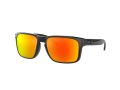 Oakley Holbrook Solbriller OO 9102 F1