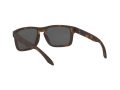 Oakley Holbrook Solbriller 9102 F4