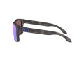 Oakley Holbrook Solbriller 9102 G7