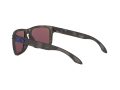 Oakley Holbrook Solbriller 9102 G7