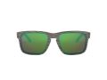 Oakley Holbrook Solbriller 9102 J8