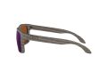Oakley Holbrook Solbriller 9102 J8