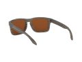 Oakley Holbrook Solbriller 9102 J8
