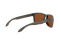 Oakley Holbrook Solbriller 9102 J8