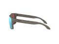Oakley Holbrook Solbriller 9102 J9