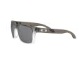 Oakley Holbrook Solbriller 9102 O2