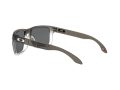 Oakley Holbrook Solbriller 9102 O2