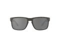 Oakley Holbrook Solbriller 9102 W9