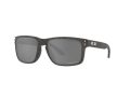 Oakley Holbrook Solbriller 9102 W9
