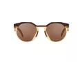 Oakley Hstn Solbriller OO 0OO9242 924207