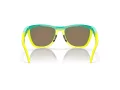 Oakley Frogskins Hybrid Solbriller OO 9289 02