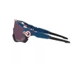 Oakley Solbriller OO 9290 64