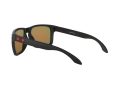 Oakley Holbrook Xl Solbriller OO 9417 04