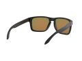 Oakley Holbrook Xl Solbriller OO 9417 04