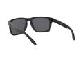 Oakley Holbrook Xl Solbriller OO 9417 05