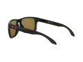 Oakley Holbrook Xl Solbriller OO 9417 08