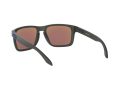 Oakley Holbrook Xl Solbriller OO 9417 09
